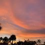 Photo of Avion Palms Homeowners Association