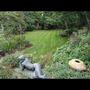 Photo of Sustainable Land Solutions