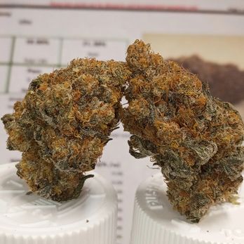 Luscious Leaves - Cannabis Dispensaries Near Me - Stafford, Virginia Luscious Leaves - Cannabis Dispensaries Near Me - Stafford, Virginia