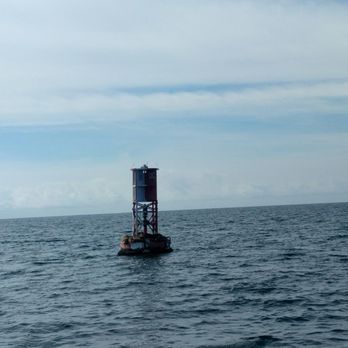 Oceanside Adventures - Sea lions on a bouy - Boat Charters Near Me - Oceanside, California