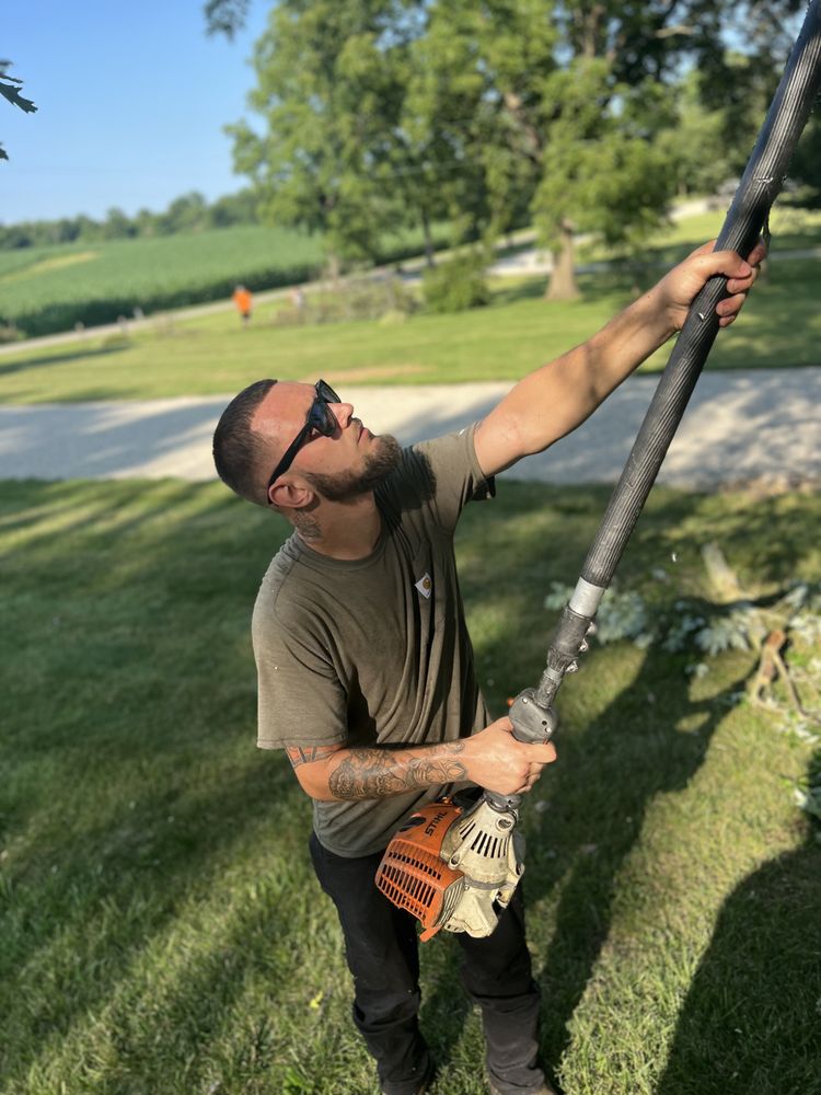 Advanced Property Solutions - tree service in Springfield, OH