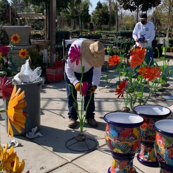Bolles Nursery Landscape - Love these fun metal flowers! - Nurseries & Gardening Near Me - Bakersfield, California Bolles Nursery Landscape - Love these fun metal flowers! - Nurseries & Gardening Near Me - Bakersfield, California