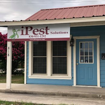 iPest Solutions San Antonio - Pest Control Near Me - Lacoste, Texas iPest Solutions San Antonio - Pest Control Near Me - Lacoste, Texas