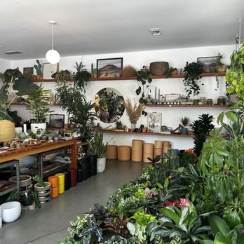 Public Land Store - Nurseries & Gardening Near Me - Sacramento, California Public Land Store - Nurseries & Gardening Near Me - Sacramento, California