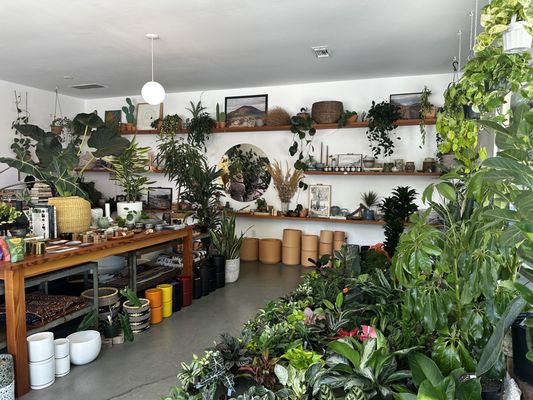 Public Land Store by null