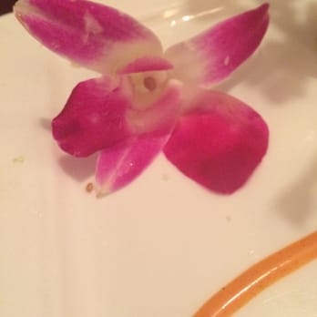 Sushi Yama - Sushi Bars Near Me - Middletown, Delaware Sushi Yama - Sushi Bars Near Me - Middletown, Delaware