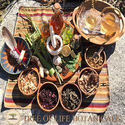 Tree Of Life Botanicals - Organic Herbal Supplements