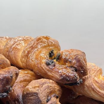 Paris Baguette - looks like raisin bread but it's actually a fly - Coffee & Tea Near Me - Mountain View, California Paris Baguette - looks like raisin bread but it's actually a fly - Coffee & Tea Near Me - Mountain View, California