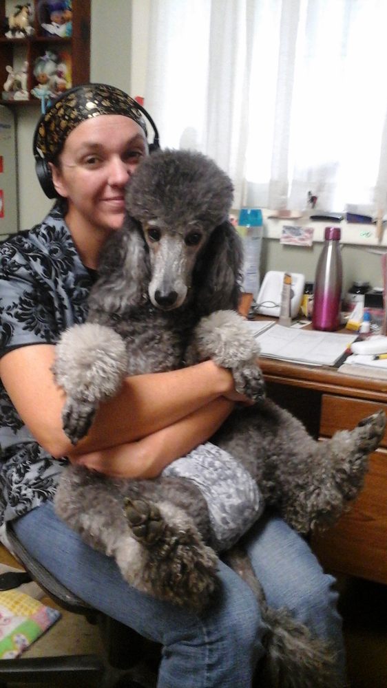 MIDGE’S PET GROOMING Updated October 2024 21 Photos 2410 17th St