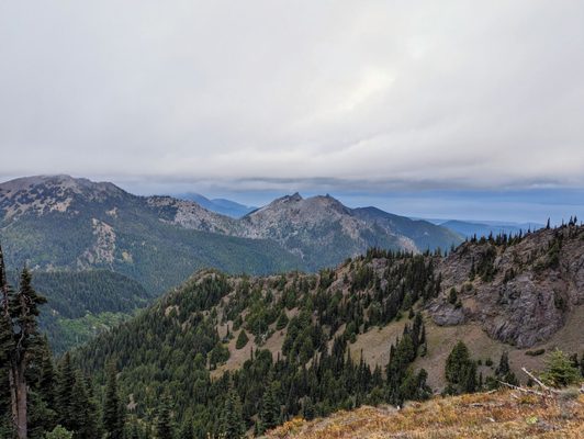 Hurricane Ridge by null