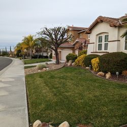 Diego’s tree care services