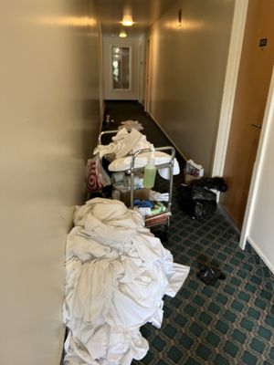 Asilomar Hotel and Conference Grounds by null