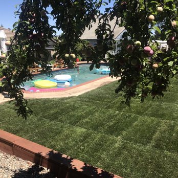 Sprinkler Plus - Sod - Irrigation Near Me Sprinkler Plus - Sod - Irrigation Near Me