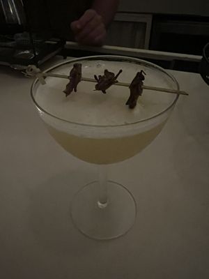 WATER LION Wine + Alchemy by null
