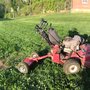 Photo of Soil Cultures Organic Lawn Care