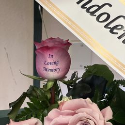 Close up of flower