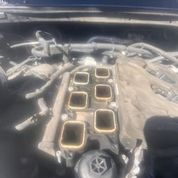Del Dios Auto