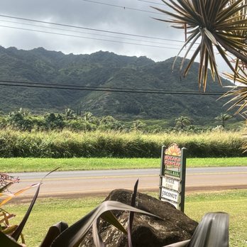 Moloa'a Sunrise Juice Bar - View from our seats - Juice Bars & Smoothies Near Me - Moloaa, Hawaii Moloa'a Sunrise Juice Bar - View from our seats - Juice Bars & Smoothies Near Me - Moloaa, Hawaii
