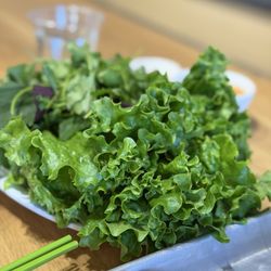 Nem By Summer Rolls - Vegetables