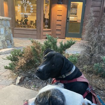 The Colorado Creamery - Store front - Ice Cream & Frozen Yogurt Near Me - Evergreen, Colorado