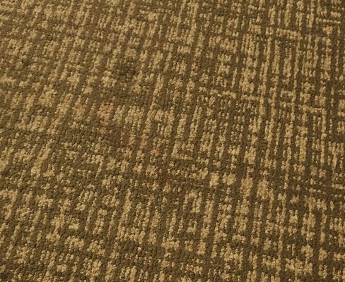 Comfort Suites Maingate East by null