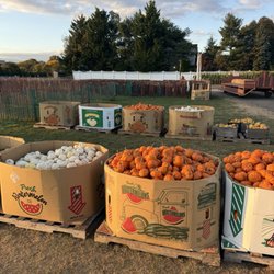 F&W Schmitt’s Family Farm - Pumpkins