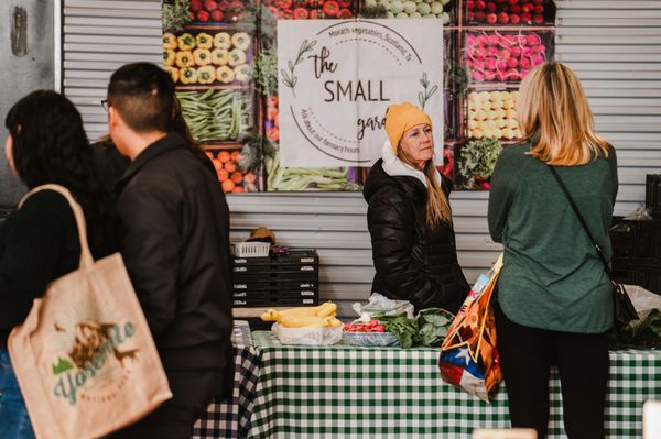 Downtown Wichita Falls Farmers Market by null