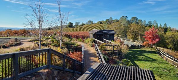 Skinner Vineyards & Winery by null