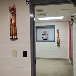 Spca Cincinnati - This way to Cat Central!