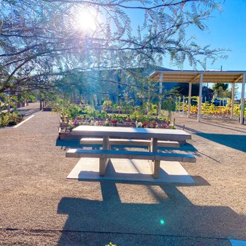 Pumpkin Park - Parks Near Me - Henderson, Nevada Pumpkin Park - Parks Near Me - Henderson, Nevada