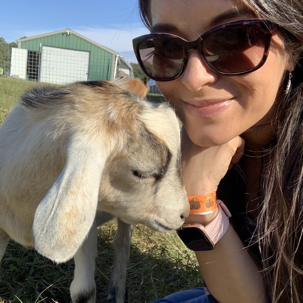 Bergey's Breadbasket - Baby goat - Bakeries Near Me - Chesapeake, Virginia Bergey's Breadbasket - Baby goat - Bakeries Near Me - Chesapeake, Virginia