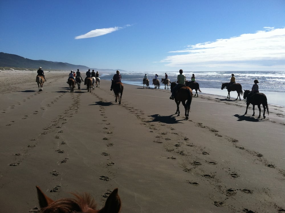 Horseback Riding Rentals Oregon Beach Rides Logo
