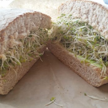 Peace Café - Tempting Tempeh Sandwich $9.25 - Vegan Near Me - Honolulu, Hawaii Peace Café - Tempting Tempeh Sandwich $9.25 - Vegan Near Me - Honolulu, Hawaii