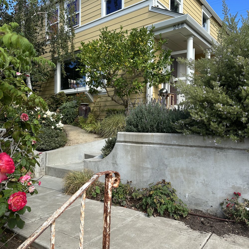 Front sidewalk and retaining wall that was trenched under Front sidewalk and retaining wall that was trenched under