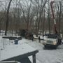 Photo of Juan Lopez Tree Service