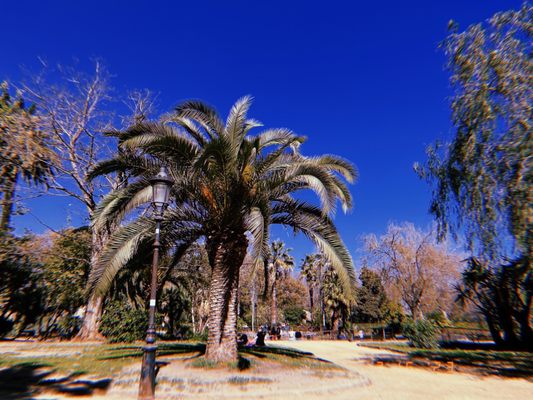 Ciutadella Park by null