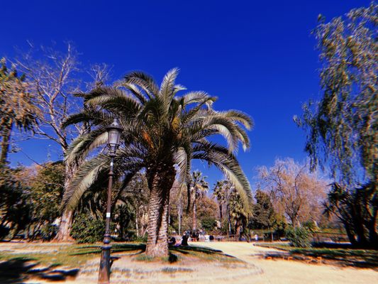 Photo of Parc de la Ciutadella - Barcelona, B, ES.