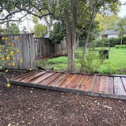 Storm won over the fence. Storm won over the fence.