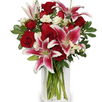 White Flint Florist - Florists Near Me - Gaithersburg, Maryland White Flint Florist - Florists Near Me - Gaithersburg, Maryland