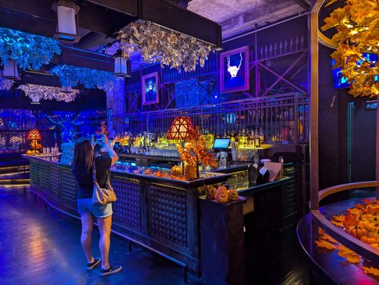 Beetle House LA by null