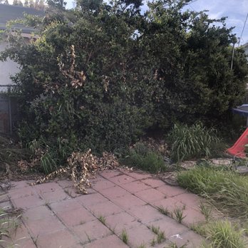 Joel Espinoza Landscape - Here's another angle of the backyard before 3 trees were removed. - Tree Services Near Me