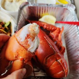 Steamed Lobster 1.5 Lb