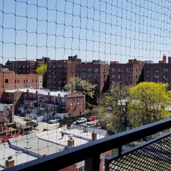 Standard Pest Management - Pest Control Near Me - Astoria, New York Standard Pest Management - Pest Control Near Me - Astoria, New York