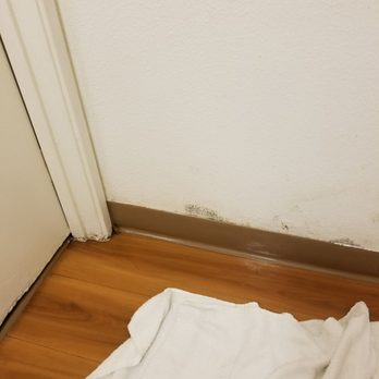 Motel 6 - This is a different view of the mold on the wall in the wet bathroom. - Hotels Near Me - Fremont, California