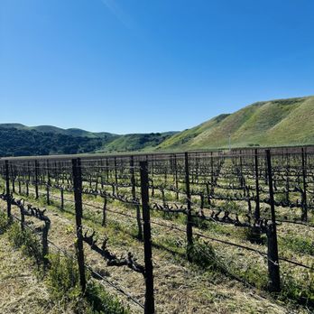 Sanford Winery - Vineyard - Wineries Near Me - Lompoc, California Sanford Winery - Vineyard - Wineries Near Me - Lompoc, California