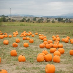 Happy Apple Farm