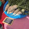 West Lafayette Farmers Market gift card