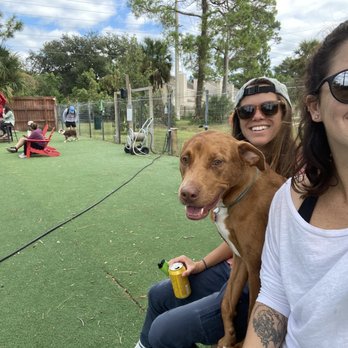 BrewHound Dog Park + Bar - Dog Parks Near Me - Neptune Beach, Florida