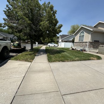All Pros Tree Service - Tree Services Near Me All Pros Tree Service - Tree Services Near Me