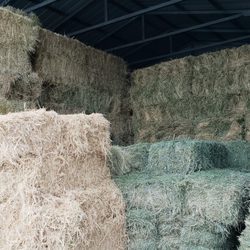 Bangor Feed - Feed hays and straw